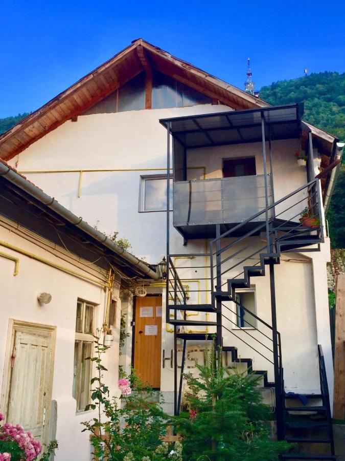 Downtown Hostel Braşov Exterior foto